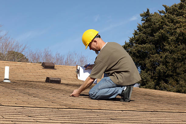 Roof Moss and Algae Removal in Woodland Beach, MI